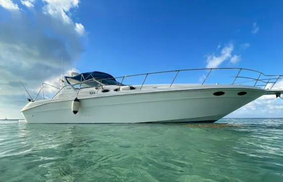 40 ft Searay Sundancer in Grand Cayman