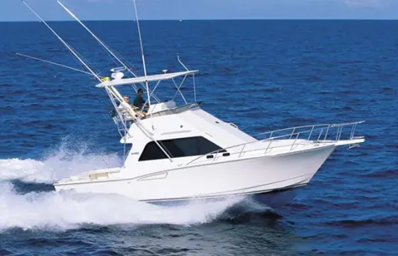 35ft Luxury Sports Yacht in La Cruz de Huanacaxtle, Mexico
