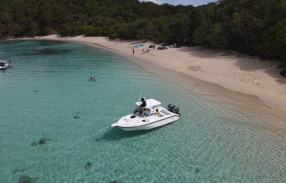 Boston Whaler 24 WalkAround/Visit Icacos/Palomino(All included)