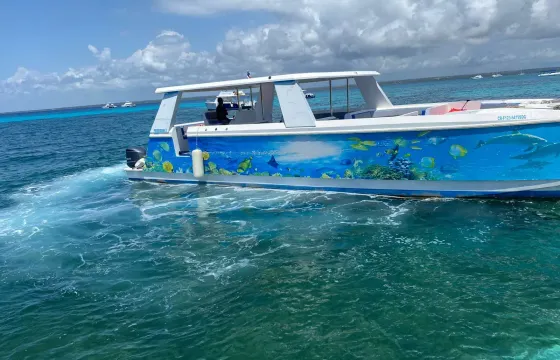 Intrepid Center Console with Custom Lighting in Dominicus, La Altagracia
