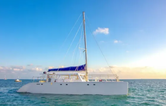 65ft  Catamaran Private Charter / Capacity 100 people