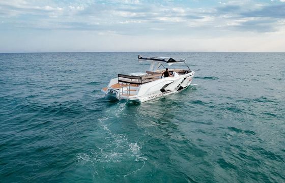 Alestra Marine Raptor Excursion Boat