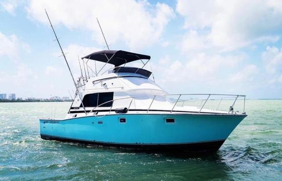 Fishing Tour Bertram 35ft in Cancún, Quintana Roo