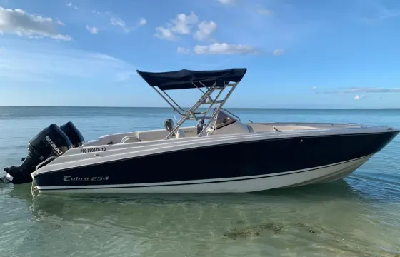 Multi-purpose powerboat for Excursion, Dolphin Tour, Snorkelling