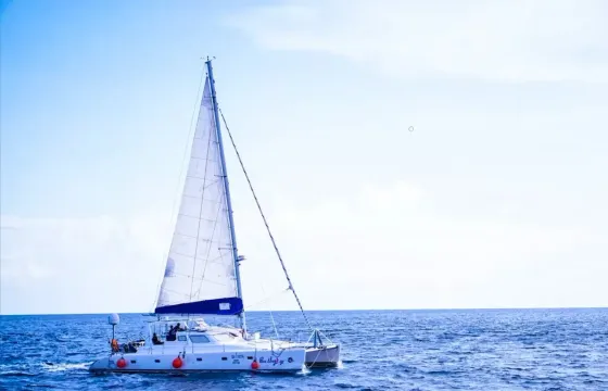 Welcome Aboard BlueRidge Voyager 500 - Unleash Your Seafaring Dreams!