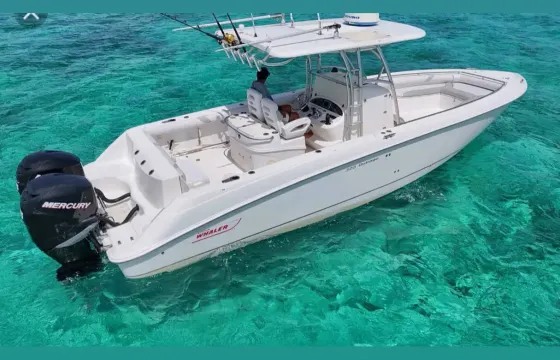 Boston Whaler Outrage 240 for Group Adventures in The Bahamas