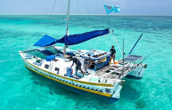 Zanzibar Private Full Day Catamaran to Mnemba Atoll Open Bar