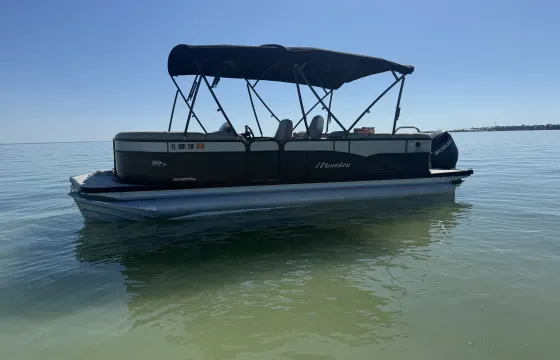 Private Family Beach & Sandbar Charter | Manitou 23 Aurora LE RF Pontoon