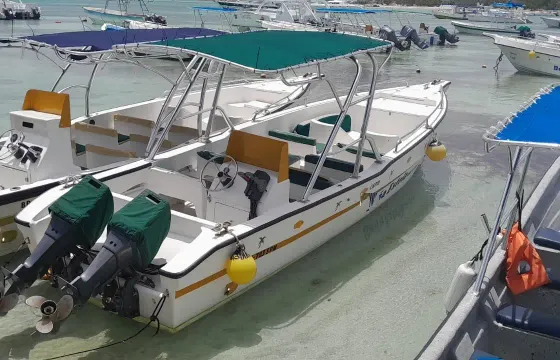 Saona Island Speed Boat and Natural Pool