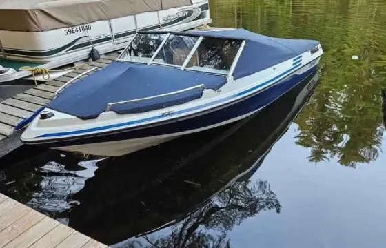BAYLINER BOWRIDER BOAT FOR CRUISING, RENT WITH TRAILER OR CHARTER|6 PERSONS