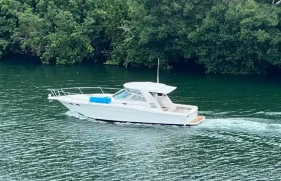 Private Yacht Tour From Casa De Campo, SeaRay 40ft -Trips To Catalina or Saona and Palmillas.