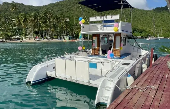 Private Supercat 38ft Catamaran Tour in St. Lucia