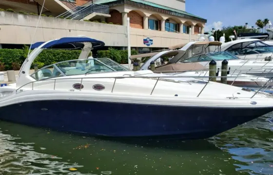 Sea Ray 340 Sundancer – Perfect Day Charter in St. Petersburg, FL