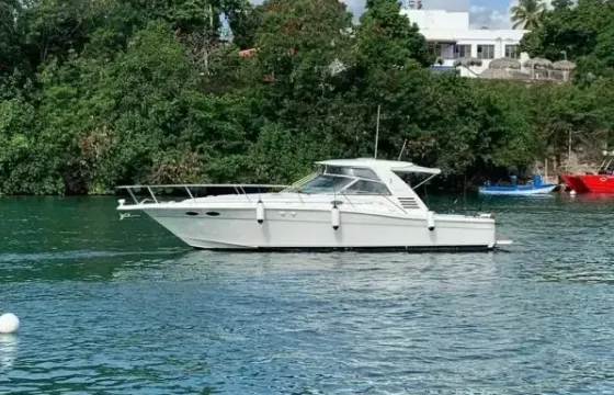 Motor Yacht for 10 people in Punta Cana, La Altagracia