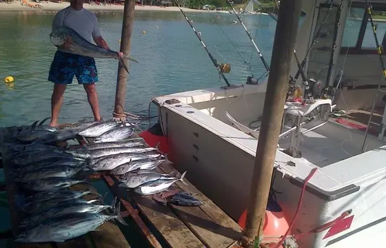 Big Game Fishing, 32ft Cabin Cruiser Boat, Mauritius