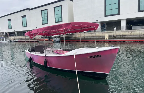 21ft Pretty Pink Luxury Duffy Boat Cruises In South Long Beach