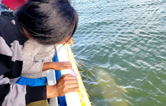 Sunset Dolphin Sightseeing Tour in Melbourne, Florida