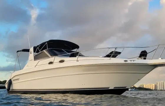Captained 33ft Sea Ray Sundancer Boat
