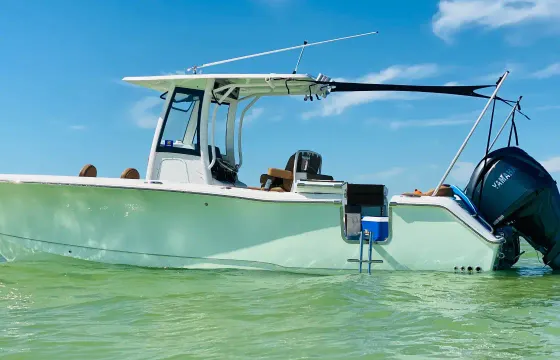 Brandnew Sea Hunt Ultra 275 Charter in Tarpon Springs, FL