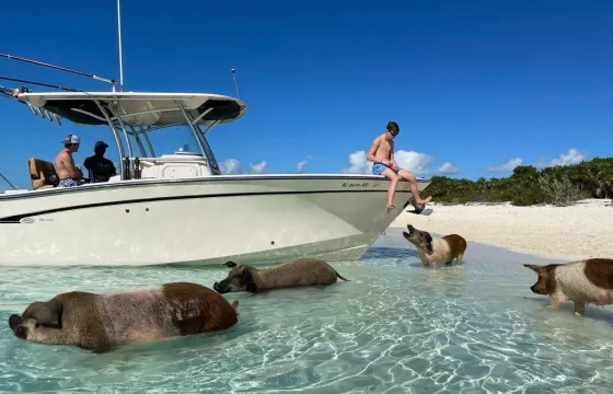 Luxury Grady-White 306 Sport Fisherman Yacht Private Charter in Nassau