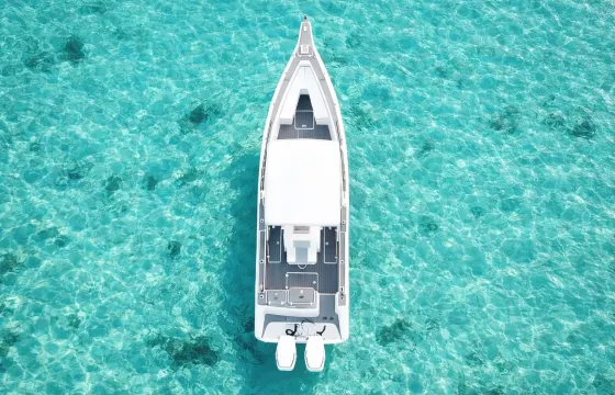 Luxury Private Bahamas Charter | Swimming Pigs, Turtles, Snorkeling & Sandbars