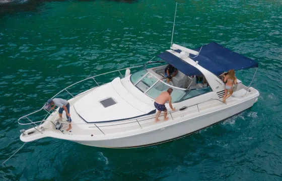 SANTA ELISA | Nice Sea Ray 36ft Motoryacht for cruising
