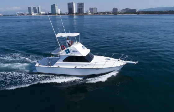 Bertram 38ft lovely Yacht perfect for Cruising & Sportfishing