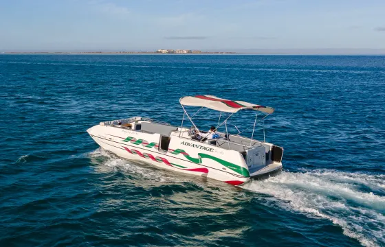 Dreaming of the Summer Holidays - Party Cat Deck Boat in La Paz!
