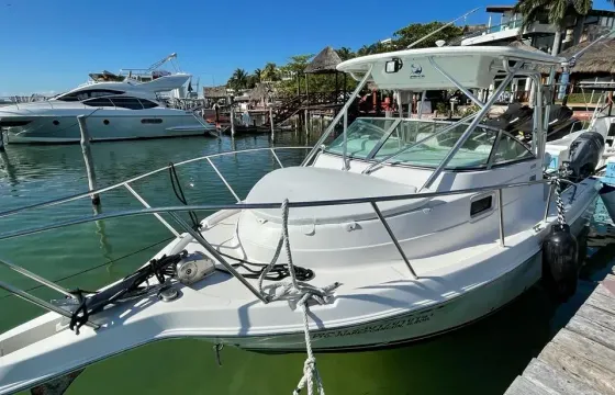 Best Fishing Charter in Cancun/Garanteed Catch