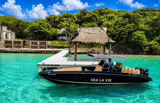 Private Full Day-Luxury Boat Rental-Rosario Islands-𝙎𝙀𝘼 𝙇𝘼 𝙑𝙄𝙀 1 o 2