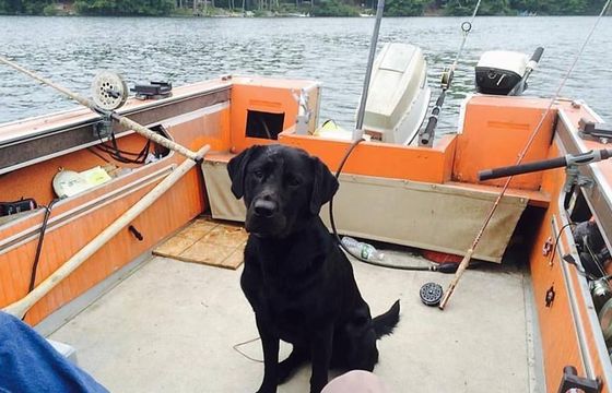 Wells Harbor Fishing Charter on 25ft C-Hawk Pilot House