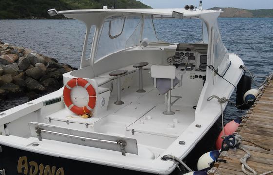 Fabulous Chris Craft Boat for charter -  British Virgin Islands