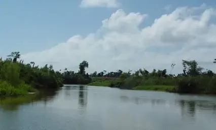 23' Center Console Fishing Charter in Monkey River Town, Belize