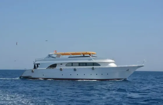 Red sea day trip diving in hurghada by boat