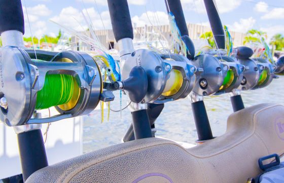 Guided Offshore Fishing Trips in Boca Raton, Florida!