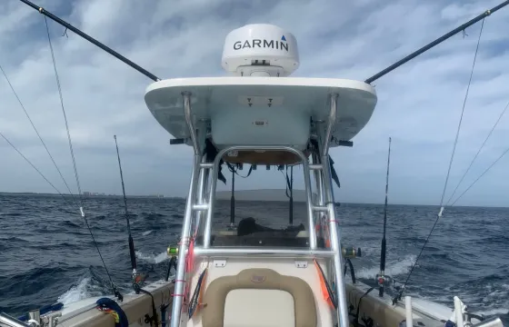 Guided Offshore Fishing Trips in Boca Raton, Florida!