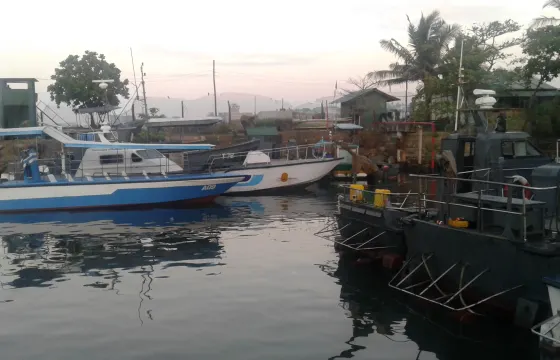 Whale Watching in Galle, Sri Lanka