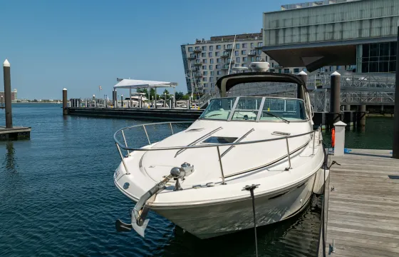 Sea Ray 310 (33ft) - Boston Harbor & Surrounding Islands