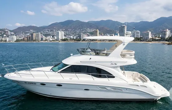 Experience Acapulco in Style: 45' Sea Ray Flybridge