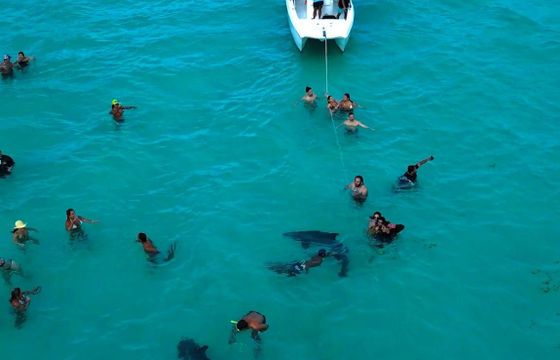 Mini Catamaran 25ft Prowler- Cristal clear water, beach, snorkeling & much fun!