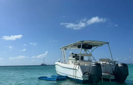 Mini Catamaran 25ft Prowler- Cristal clear water, beach, snorkeling & much fun!