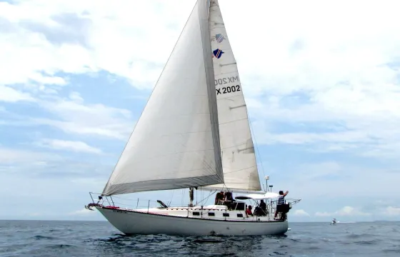 Lancer 36 Sailing Sloop for 8 Passenger in Puerto Vallarta