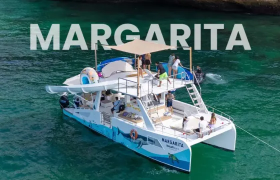 New Beautiful Luxury Catamaran In Puerto Vallarta And Bahia De Banderas