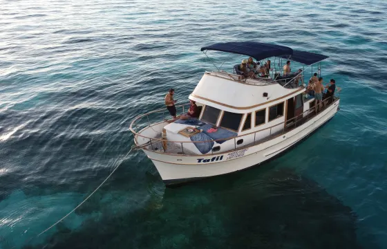 Isla Mujeres 6hr Private Tour. Ocean and Beach. Food, drinks and bbq optional.