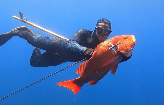 Spearfishing Charter Reef/Bluewater - From Playa Flamingo