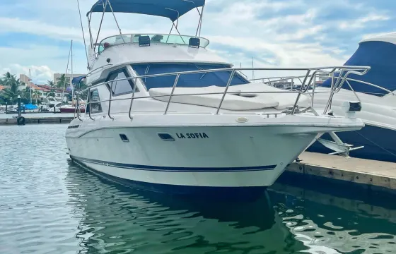 LA SOFIA | Bayliner 36ft Yacht for Cruising and Sportfishing at PV.