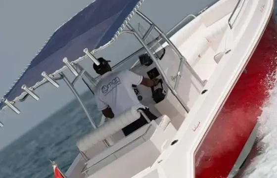Sapphire 29" Power Boat in Oman