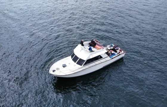 42' Bertram Yacht with Spacious Deck for 12 passengers
