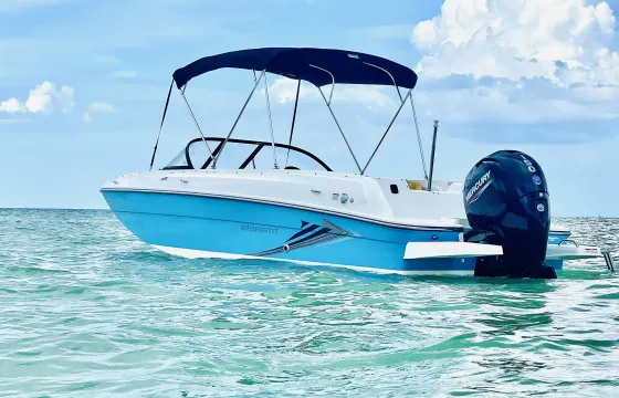 2022 Bayliner Element E21 | 5 Stars Rating - Anna Maria Island
