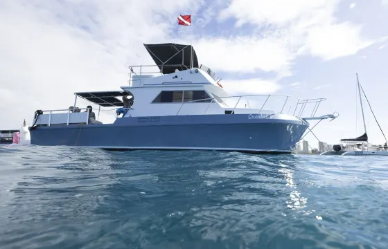 Private Snorkel tours, Day charters, Sunsets, Cocktail cruise